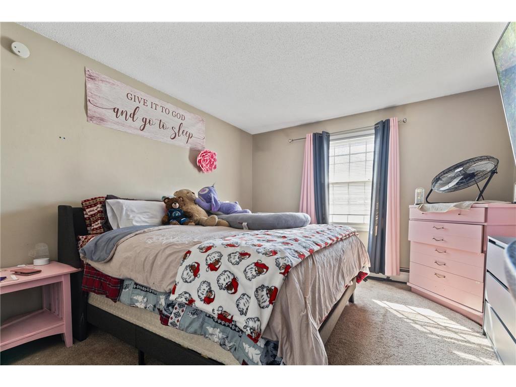 1007 11th Avenue S #8 Hopkins MN 55343 7045665 image17