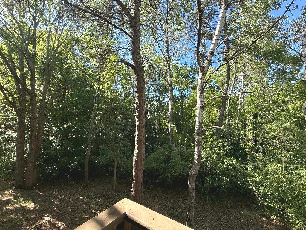 1007 Spruce Lane Park Rapids MN 56470 7104119 image38