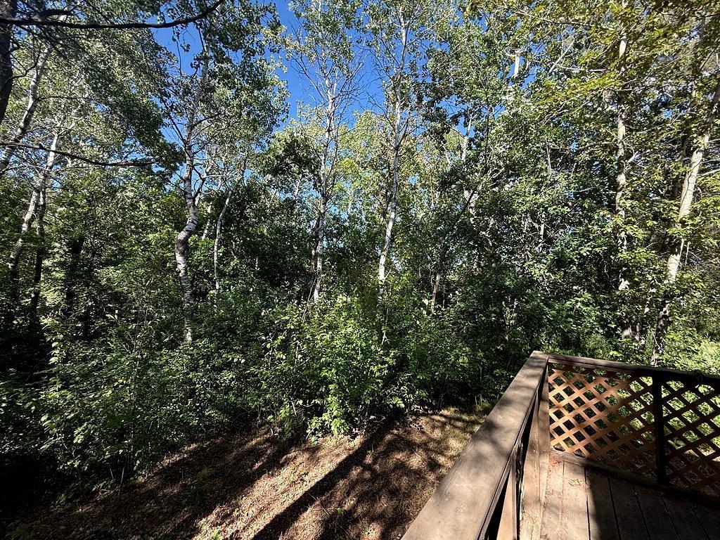 1007 Spruce Lane Park Rapids MN 56470 7104119 image39