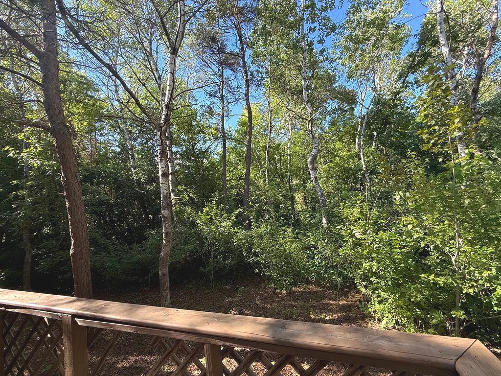 1007 Spruce Lane Park Rapids MN 56470 7104119 image4