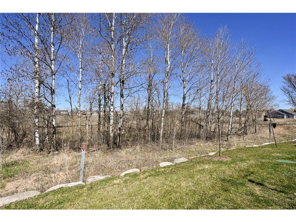 10073 177th Ave NW Elk River MN 55330 7054159 image27