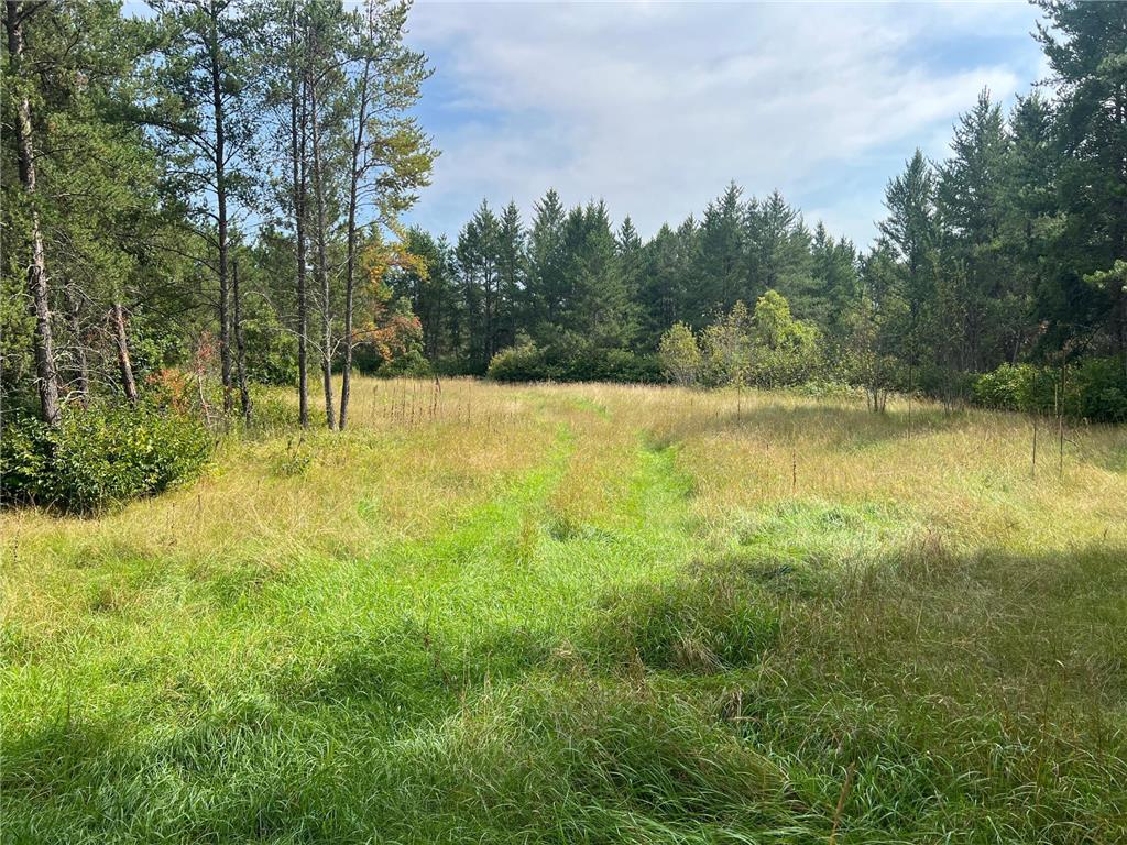 10073 Snake Trail SW Becker Twp MN 56466 6600629 image1