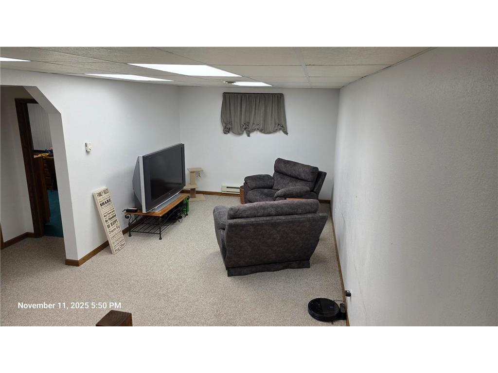 1008 Laurel Street Littlefork MN 56653 6818404 image24