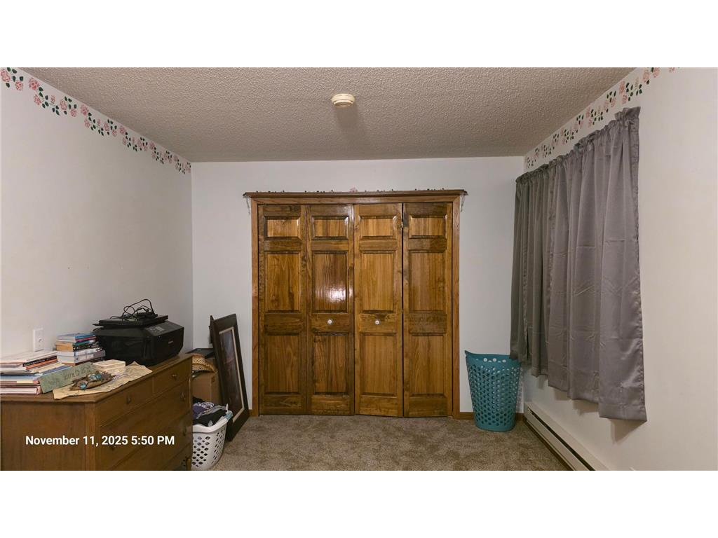 1008 Laurel Street Littlefork MN 56653 6818404 image25