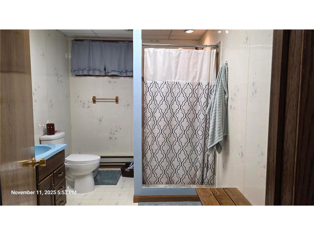 1008 Laurel Street Littlefork MN 56653 6818404 image38