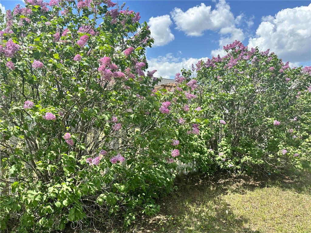 1008 Sunrise Circle Park Rapids MN 56470 6718459 image27