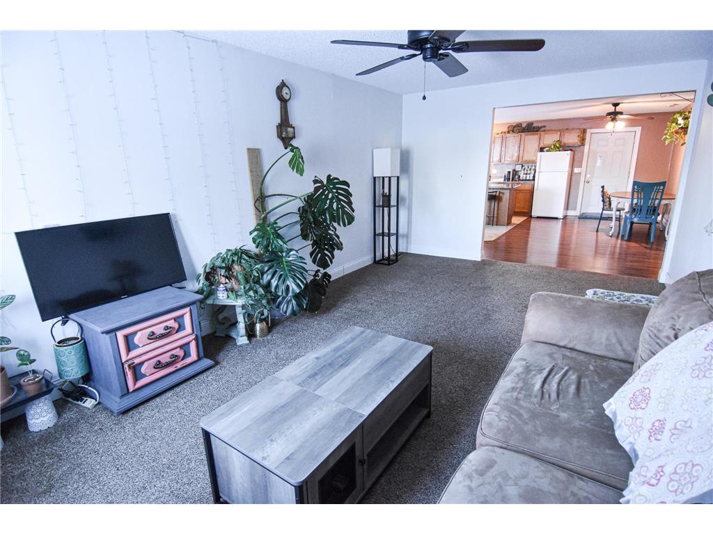 1009 Dewey Avenue N Thief River Falls MN 56701 7009556 image14