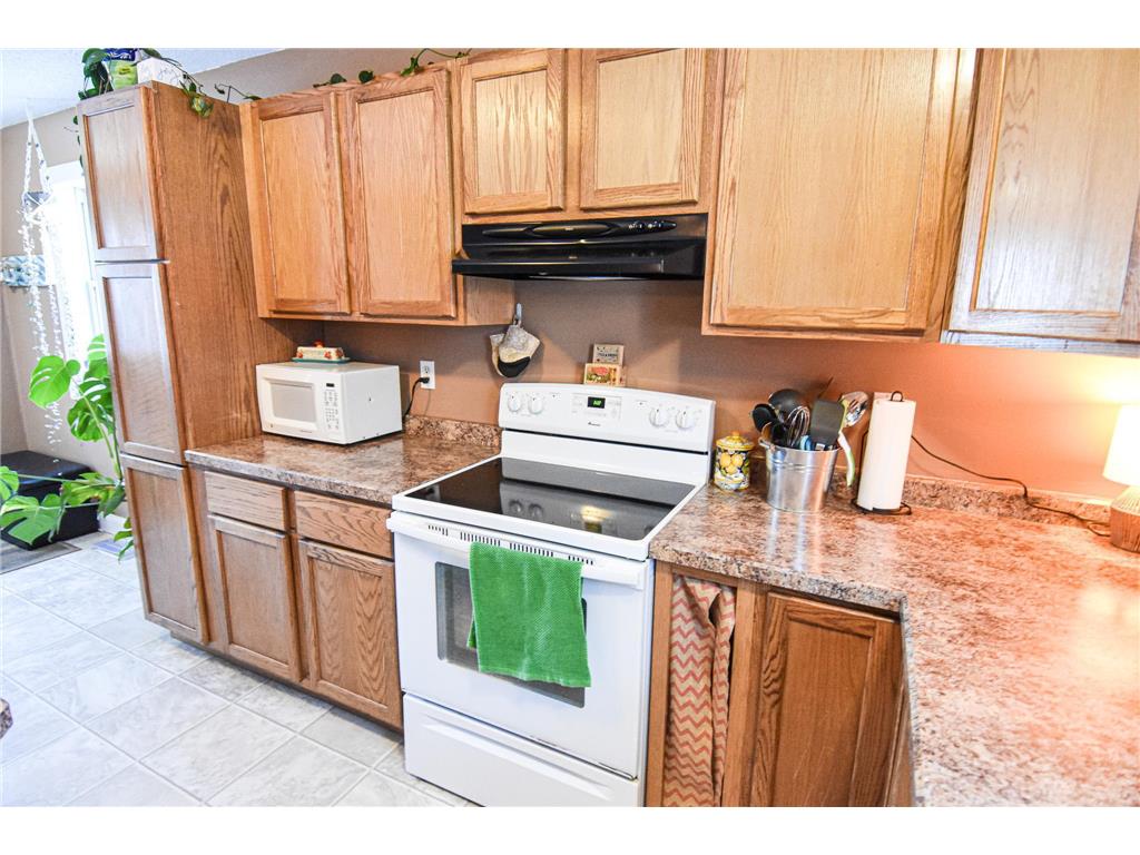 1009 Dewey Avenue N Thief River Falls MN 56701 7009556 image8