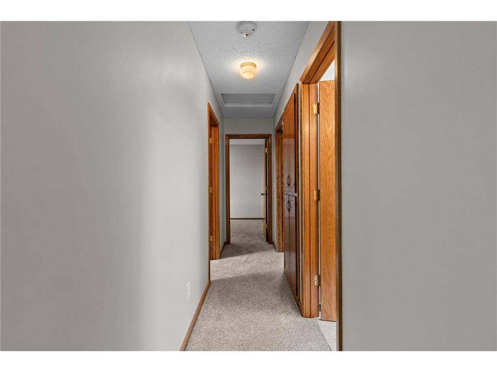 1009 Gramsey Place Burnsville MN 55306 7062967 image23