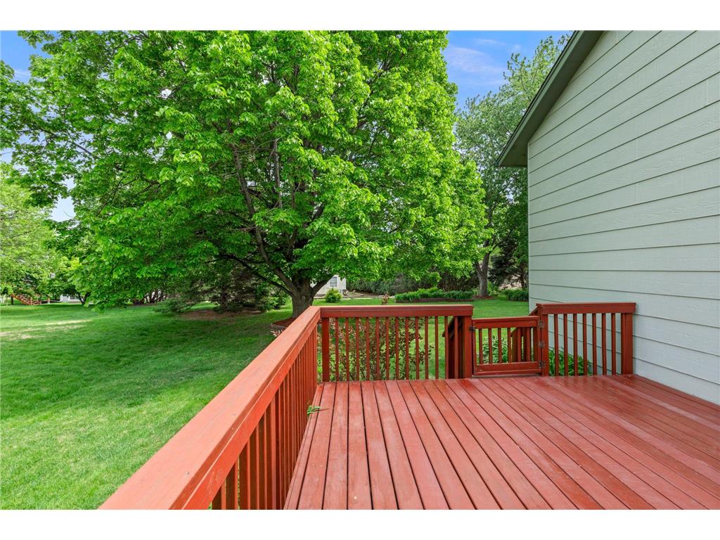 1009 Gramsey Place Burnsville MN 55306 7062967 image53