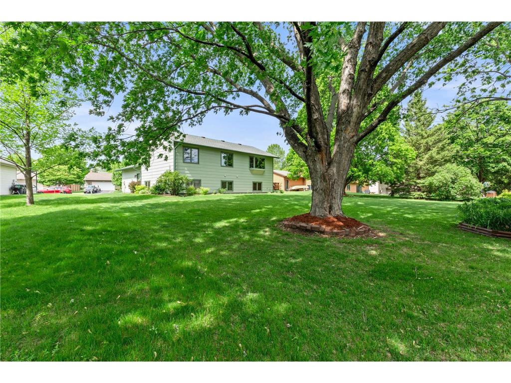 1009 Gramsey Place Burnsville MN 55306 7062967 image58