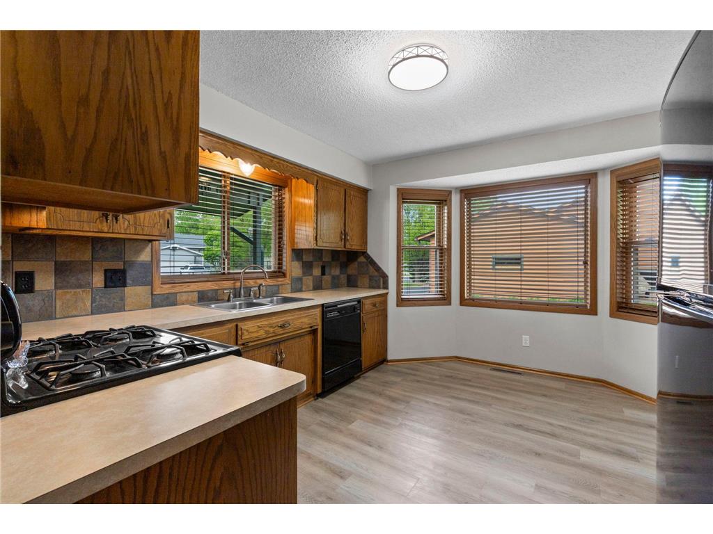 1009 Gramsey Place Burnsville MN 55306 7062967 image8