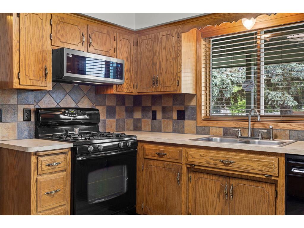 1009 Gramsey Place Burnsville MN 55306 7062967 image9