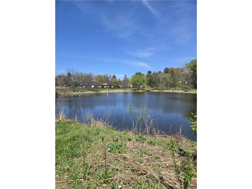 1009 Stratford Road Mendota Heights MN 55118 7066109 image63