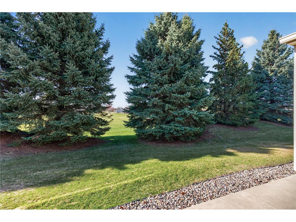 1009 Victoria Greens Boulevard Victoria MN 55386 7055839 image41
