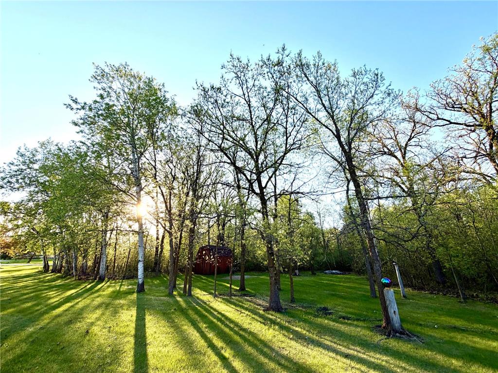 101 17th Avenue NE Spruce Twp MN 56751 7085216 image5