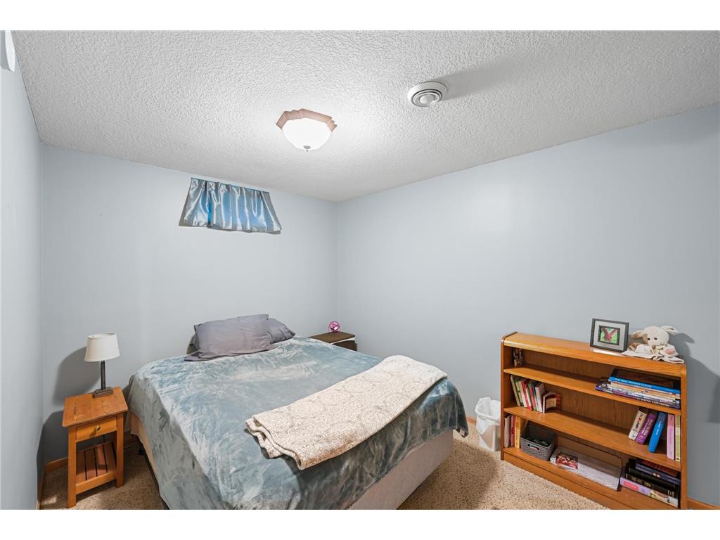 101 Anglewood Drive Kenyon MN 55946 7101418 image42