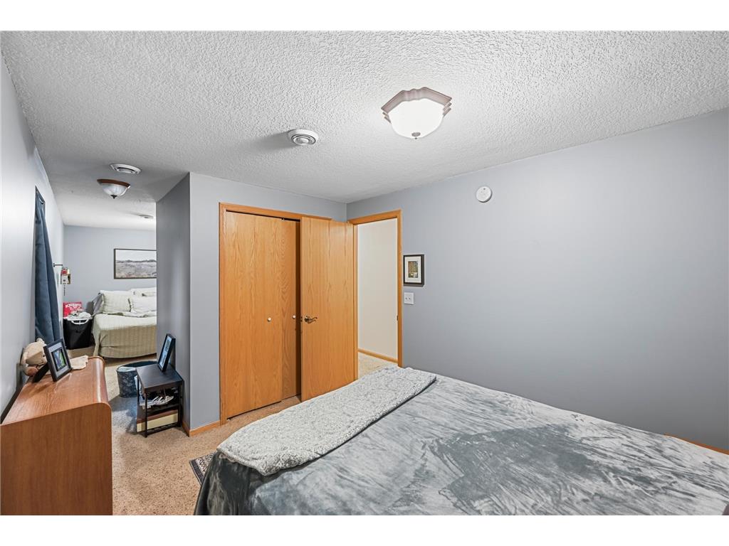101 Anglewood Drive Kenyon MN 55946 7101418 image43
