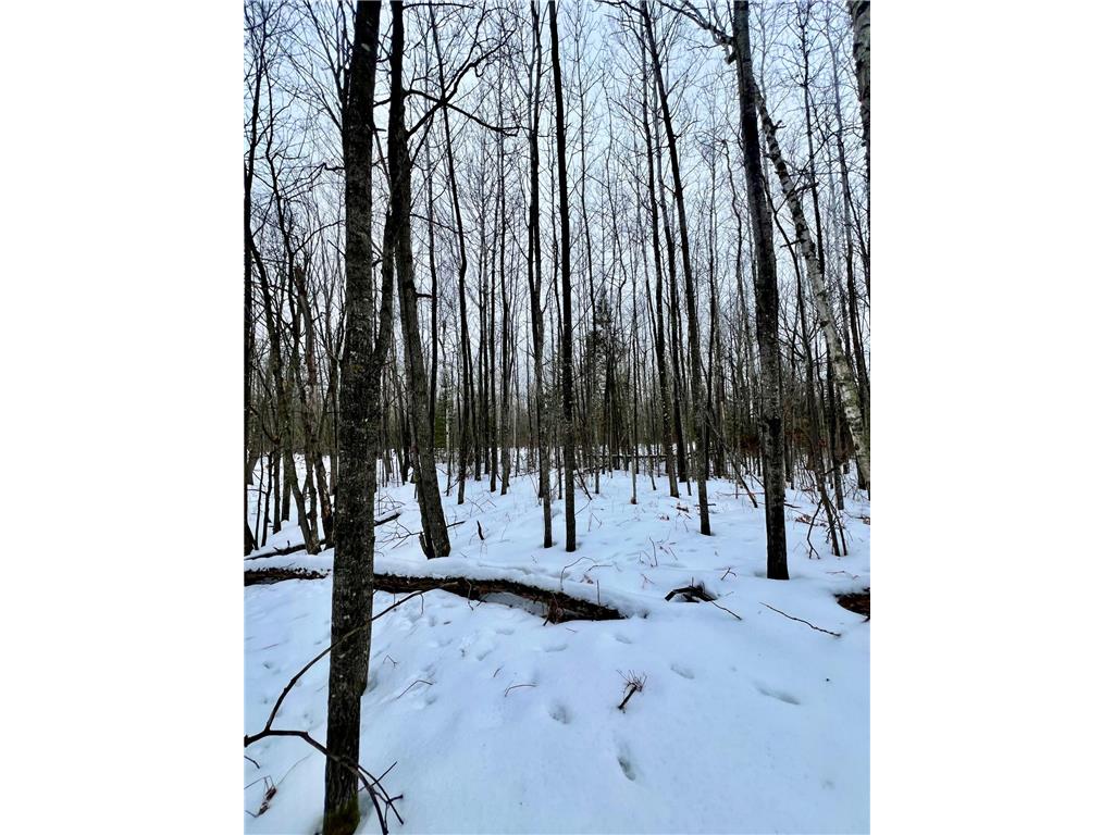 101 Baich Drive Trout Lake Twp MN 55722 7008047 image10