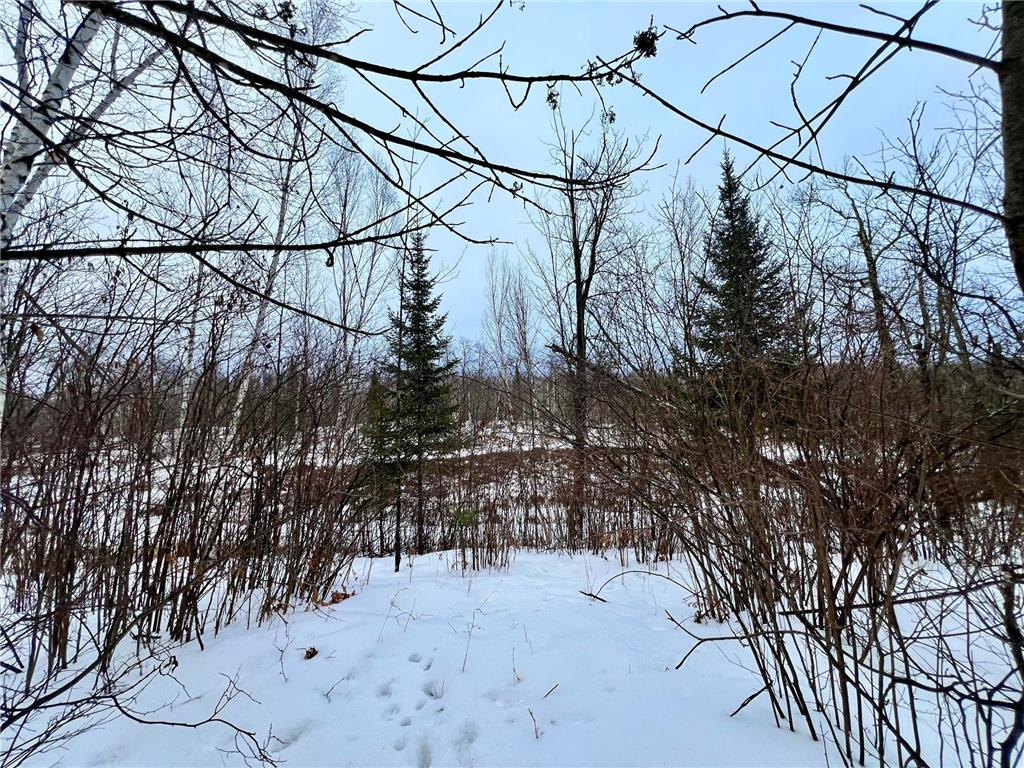 101 Baich Drive Trout Lake Twp MN 55722 7008047 image11