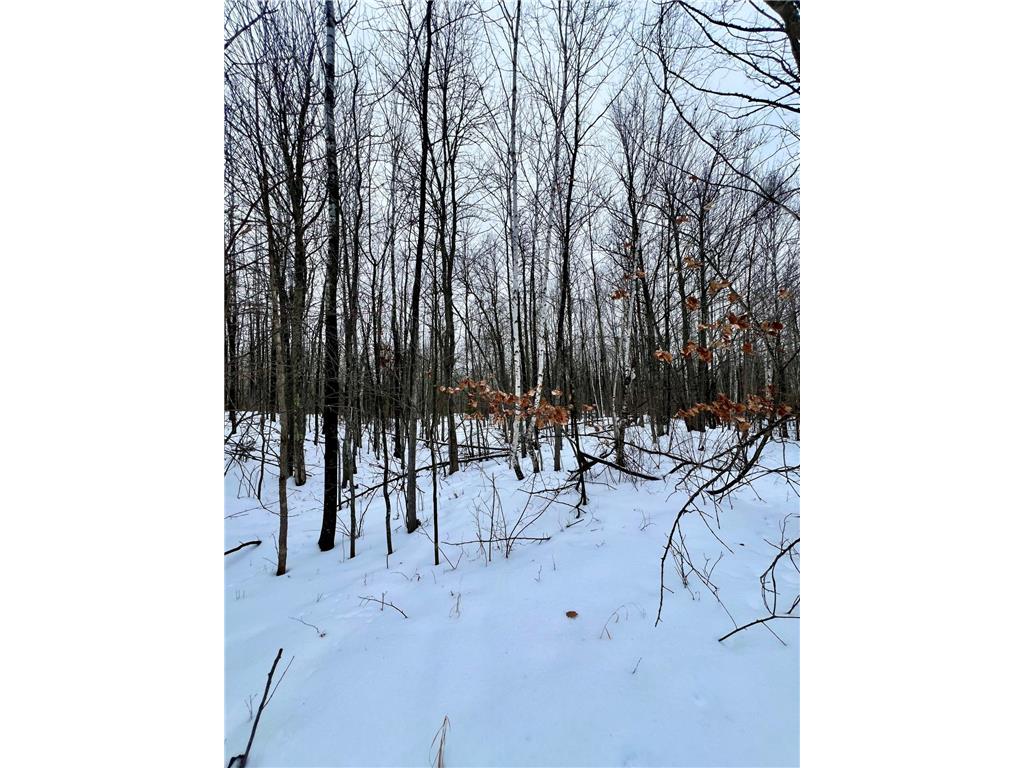 101 Baich Drive Trout Lake Twp MN 55722 7008047 image12