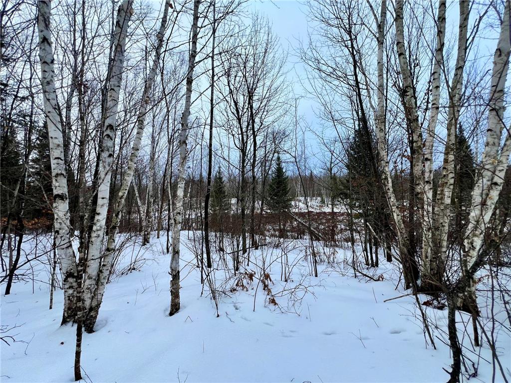 101 Baich Drive Trout Lake Twp MN 55722 7008047 image15