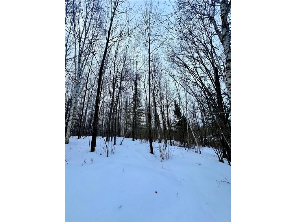 101 Baich Drive Trout Lake Twp MN 55722 7008047 image16