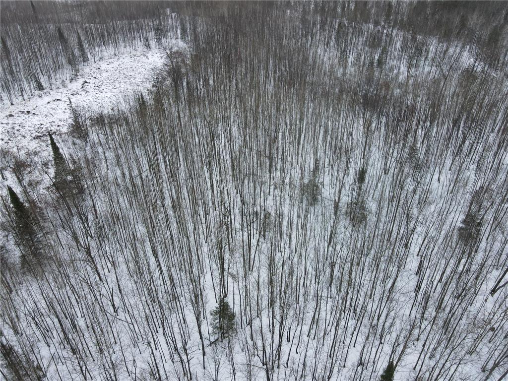 101 Baich Drive Trout Lake Twp MN 55722 7008047 image8