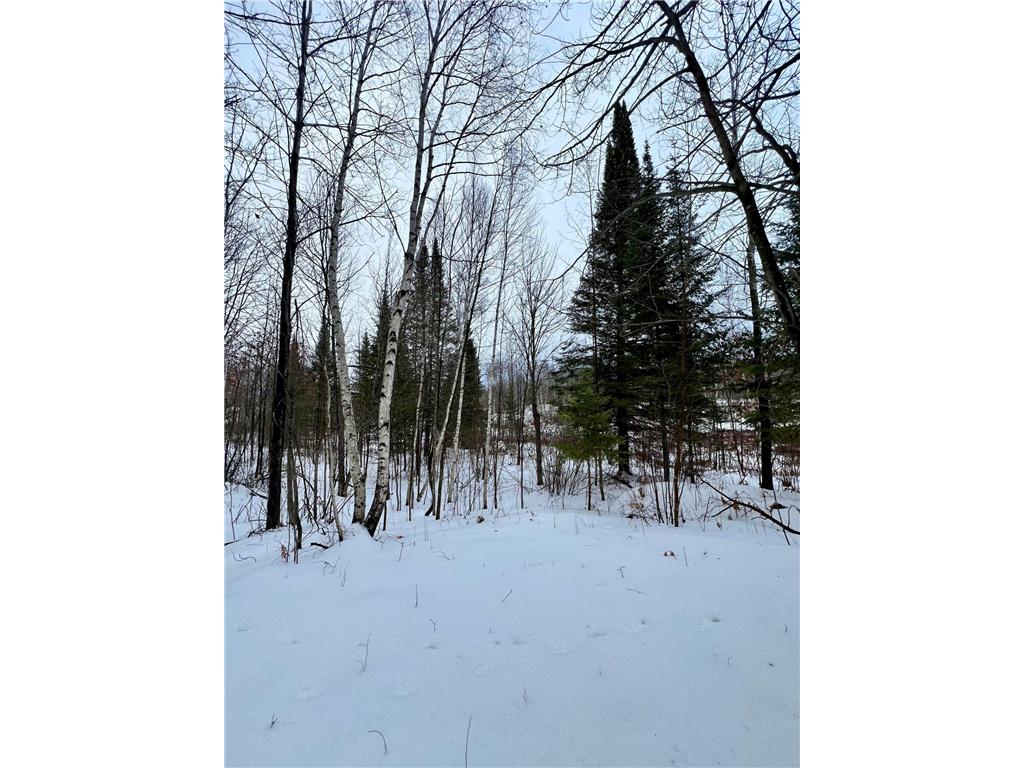 101 Baich Drive Trout Lake Twp MN 55722 7008047 image9