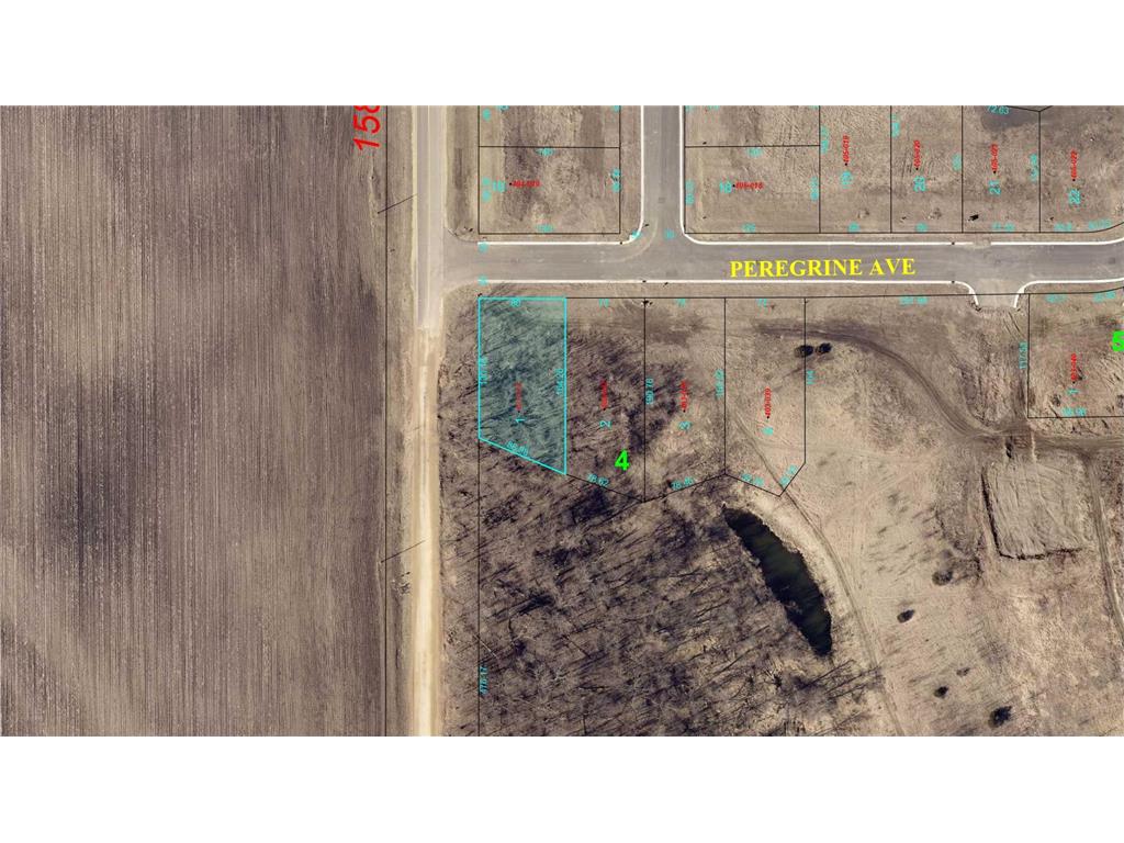 101 Peregrine Avenue Eagle Lake MN 56024 6559776 image1