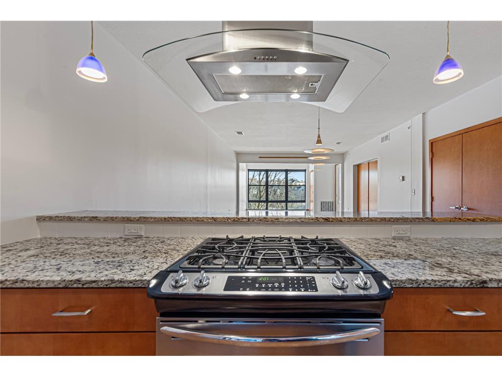 101 Saint Olaf Avenue #312 Northfield MN 55057 - Cannon River 7007826 image14