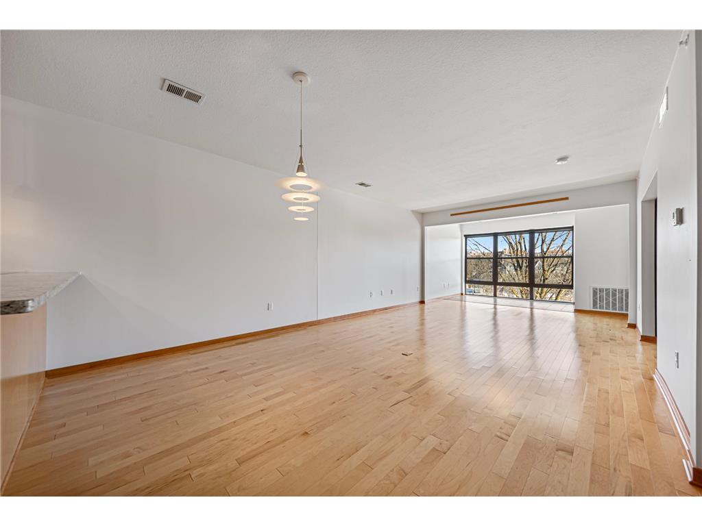 101 Saint Olaf Avenue #312 Northfield MN 55057 - Cannon River 7007826 image16