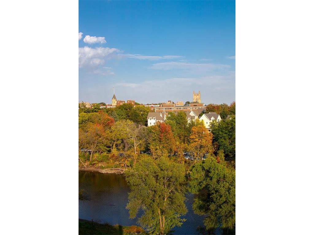 101 Saint Olaf Avenue #402 Northfield MN 55057 - Cannon River 7049909 image18