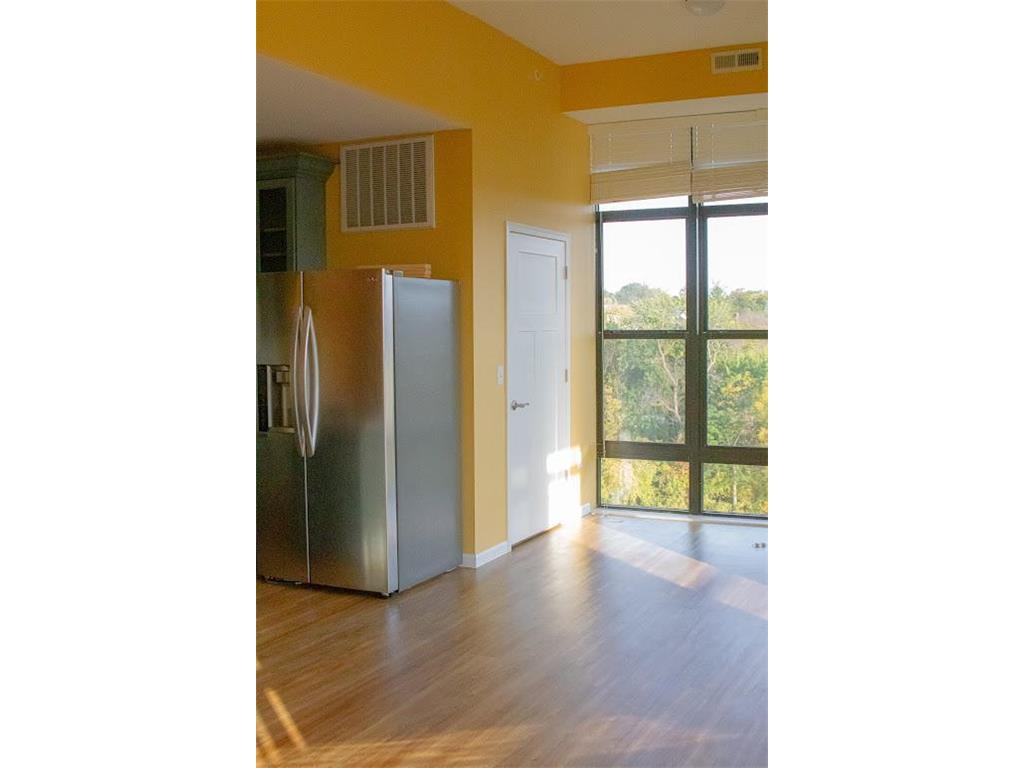 101 Saint Olaf Avenue #402 Northfield MN 55057 - Cannon River 7049909 image65