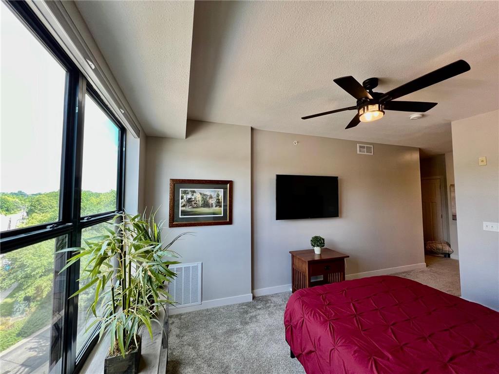 101 Saint Olaf Avenue #407 Northfield MN 55057 6769405 image13