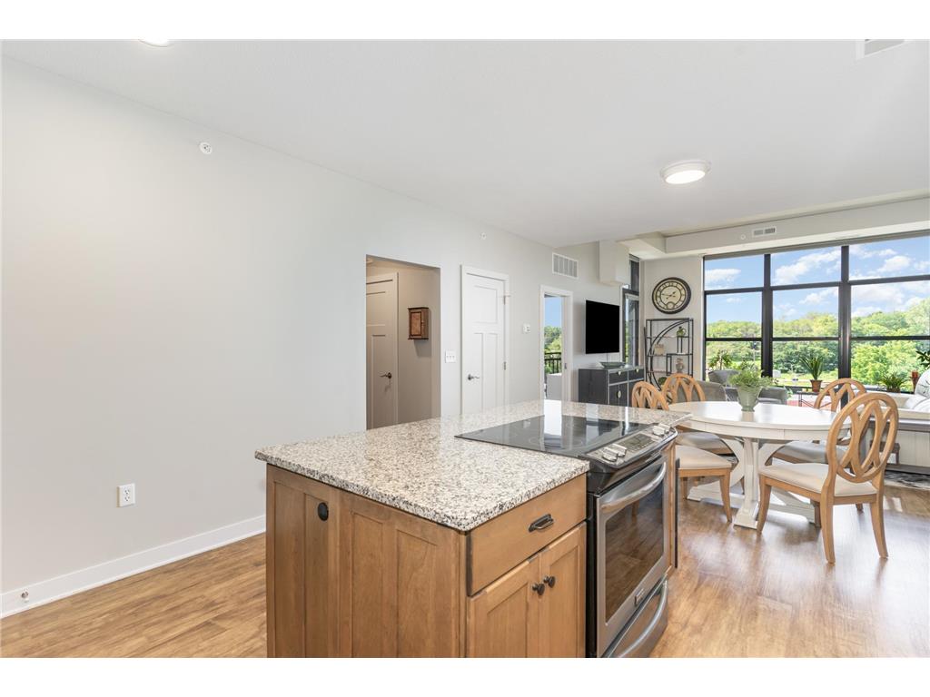 101 Saint Olaf Avenue #407 Northfield MN 55057 6769405 image9