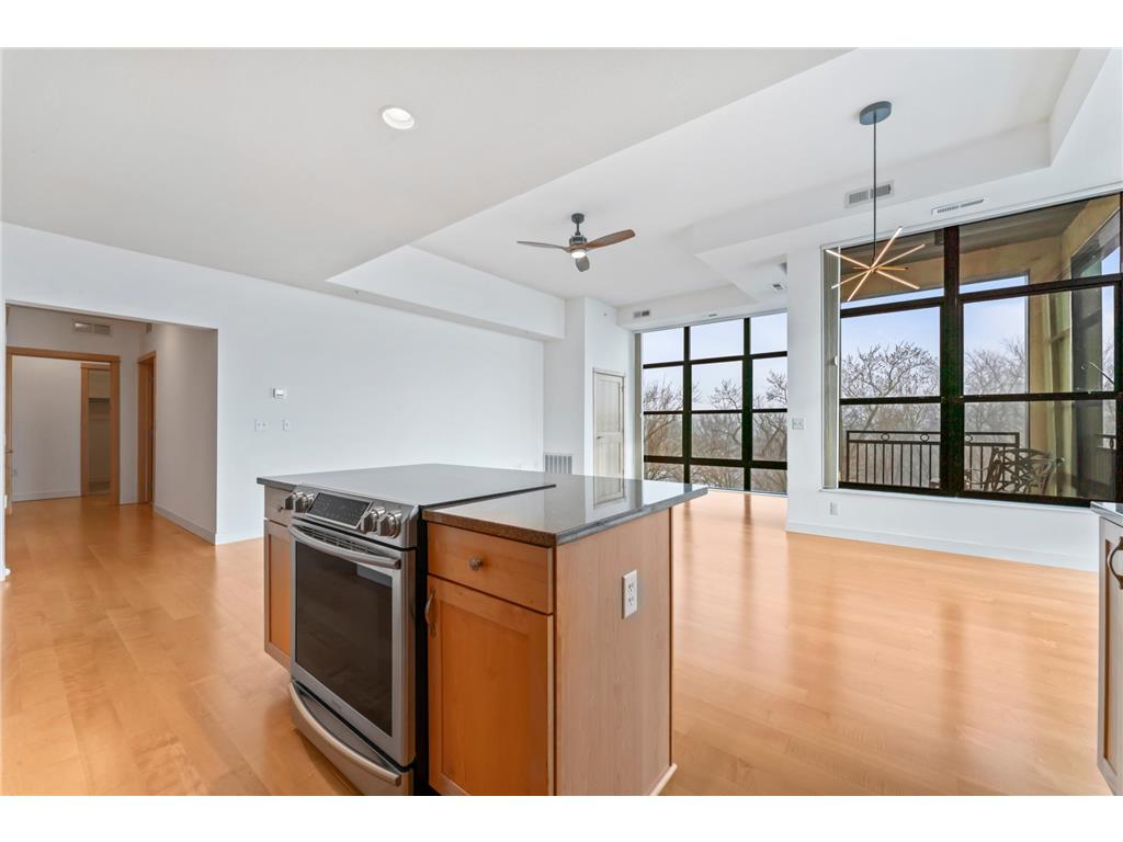 101 Saint Olaf Avenue #413 Northfield MN 55057 - Cannon River 7018603 image10