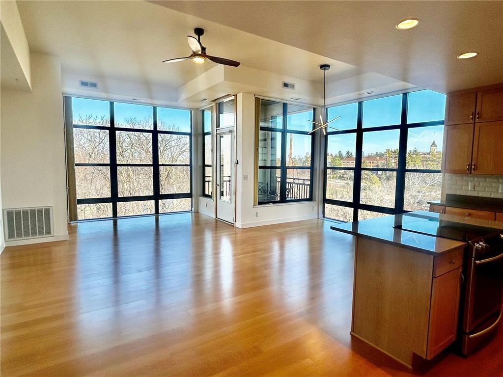 101 Saint Olaf Avenue #413 Northfield MN 55057 - Cannon River 7018603 image14