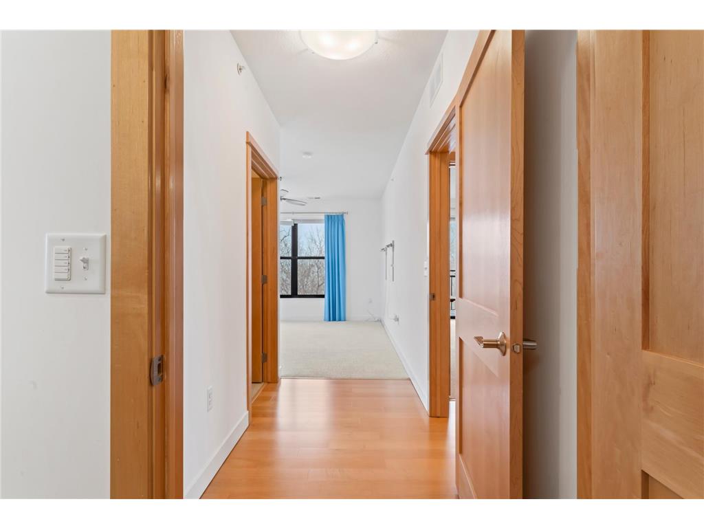 101 Saint Olaf Avenue #413 Northfield MN 55057 - Cannon River 7018603 image18