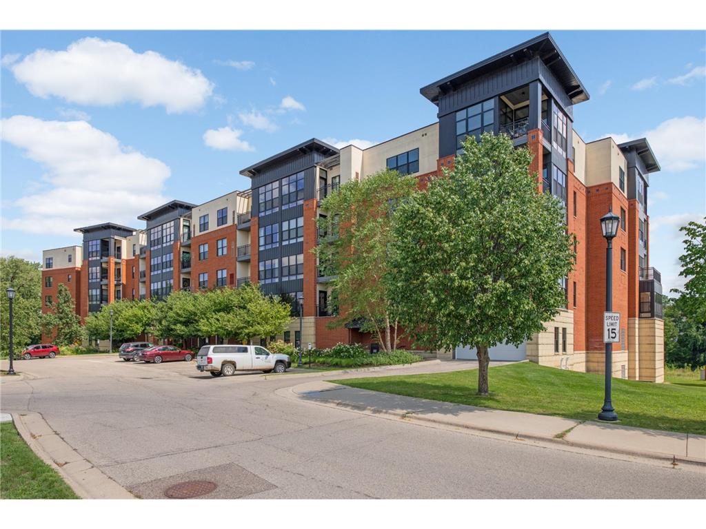 101 Saint Olaf Avenue N 411, Northfield, MN, 55057 MLS 6248531