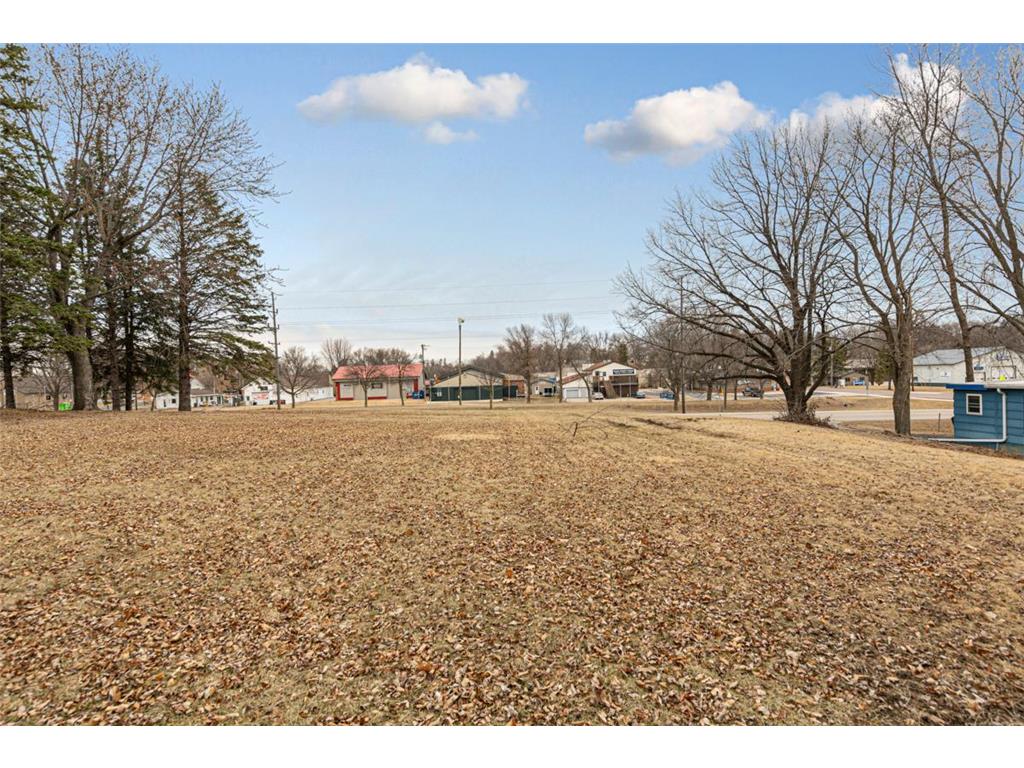 101 State Highway 60 E Elysian MN 56028 - Elysian Lake 7110004 image9