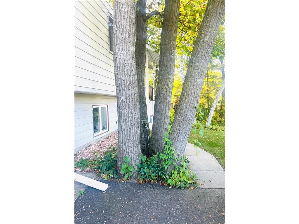 101 Summit Avenue W Walker MN 56484 6788947 image25