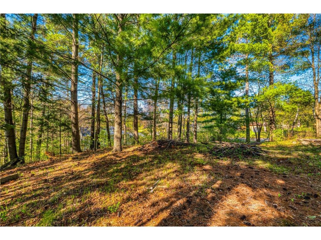 101 Summit Avenue W Walker MN 56484 7077128 image52