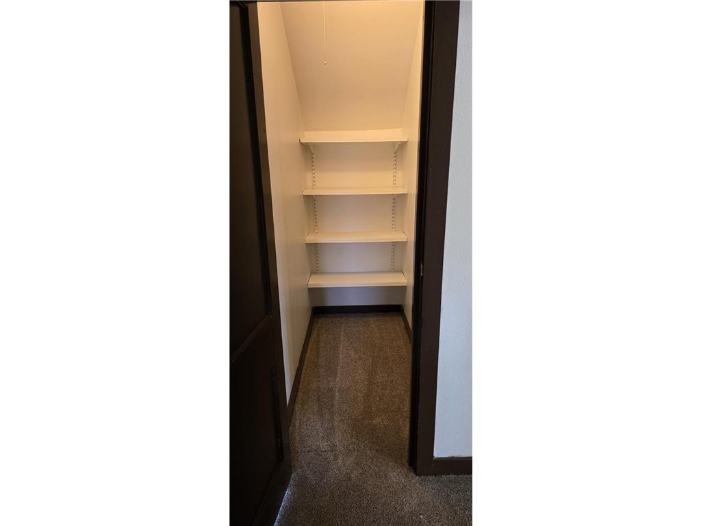 101 Wilson Street Springfield MN 56087 7095297 image27