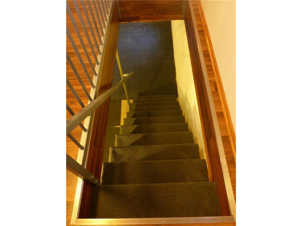 101 Wilson Street Springfield MN 56087 7095297 image48