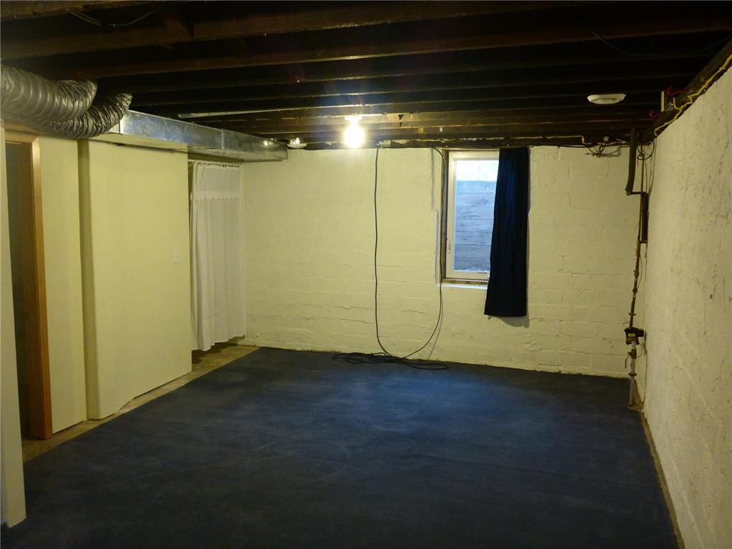 101 Wilson Street Springfield MN 56087 7095297 image49