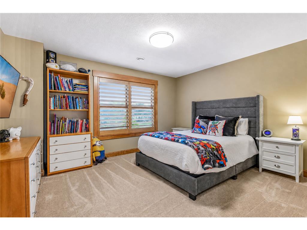 1010 Drake Court Independence MN 55359 7059904 image28