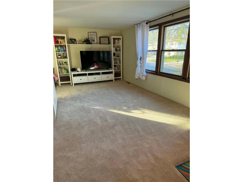 1010 Foothills Circle Albert Lea MN 56007 7110924 image19