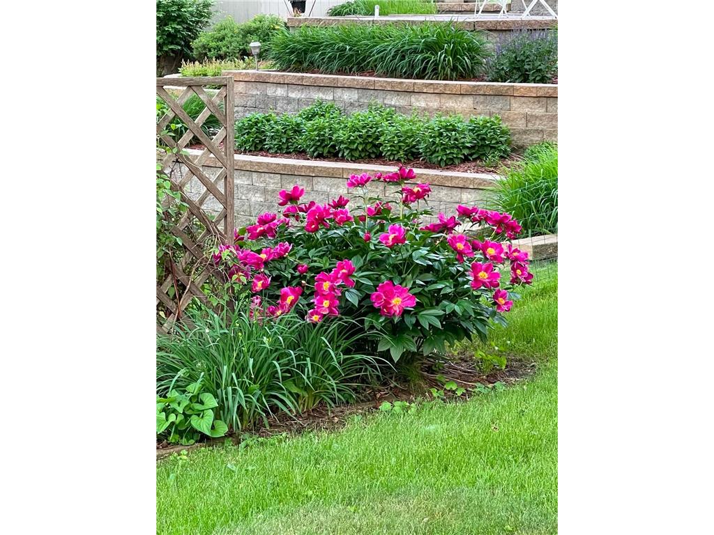 1010 Foothills Circle Albert Lea MN 56007 7110924 image27