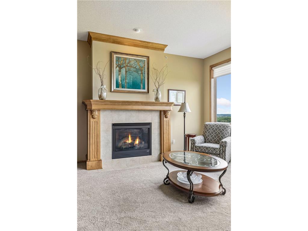 10102 Indigo Drive Eden Prairie MN 55347 7096542 image15
